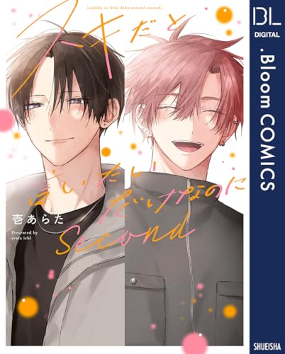 スキだと言いたいだけなのに Second