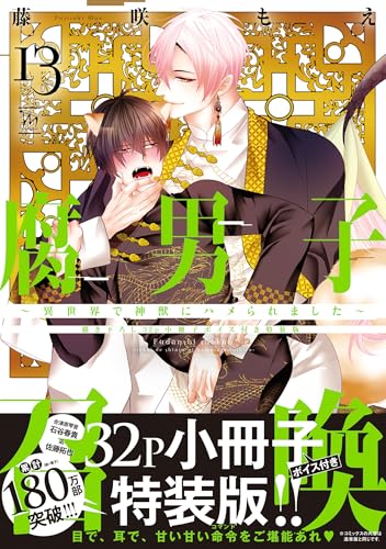 腐男子召喚～異世界で神獣にハメられました～描き下ろし32p小冊子ボイス付き特装版 13巻