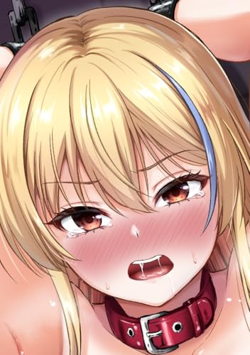 姦辱の檻