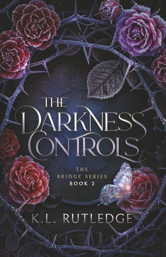 Cover of The Darkness Controls (The Bridge Series)