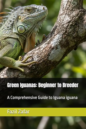 Green Iguanas for the Beginner Breeder: A Comprehensive Guide