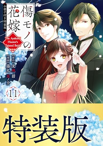 傷モノの花嫁 小冊子付き特装版 11巻
