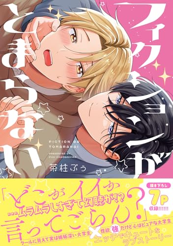 フィクションがとまらない