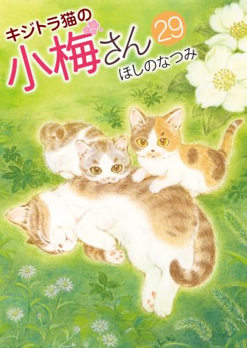キジトラ猫の小梅さん 29巻