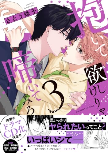 抱いて欲しけりゃ啼いてみろ 3巻 《完》
