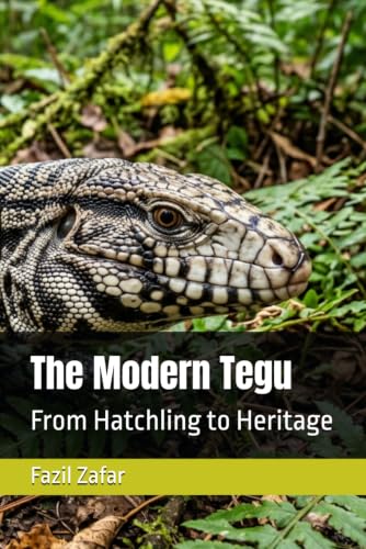 Modern Tegu Hatchling Heritage