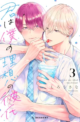 君は僕の理想の彼氏 3巻