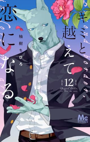 キミと越えて恋になる 12巻