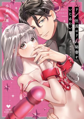 ドS社長はドM秘書をいじめたい～オフィスでぬれとろ玩具レビュー～ 3巻