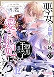 悪女（と誤解される私）が腹黒王太子様の愛され妃になりそうです!?１２