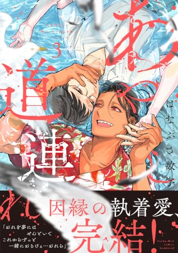 あやし道連れ 3巻