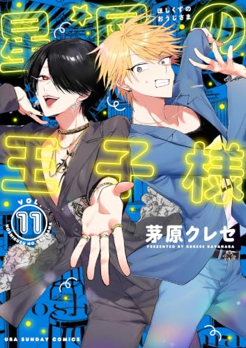 星屑の王子様 11巻