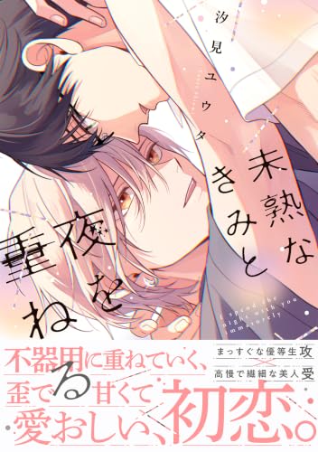 未熟なきみと夜を重ねる