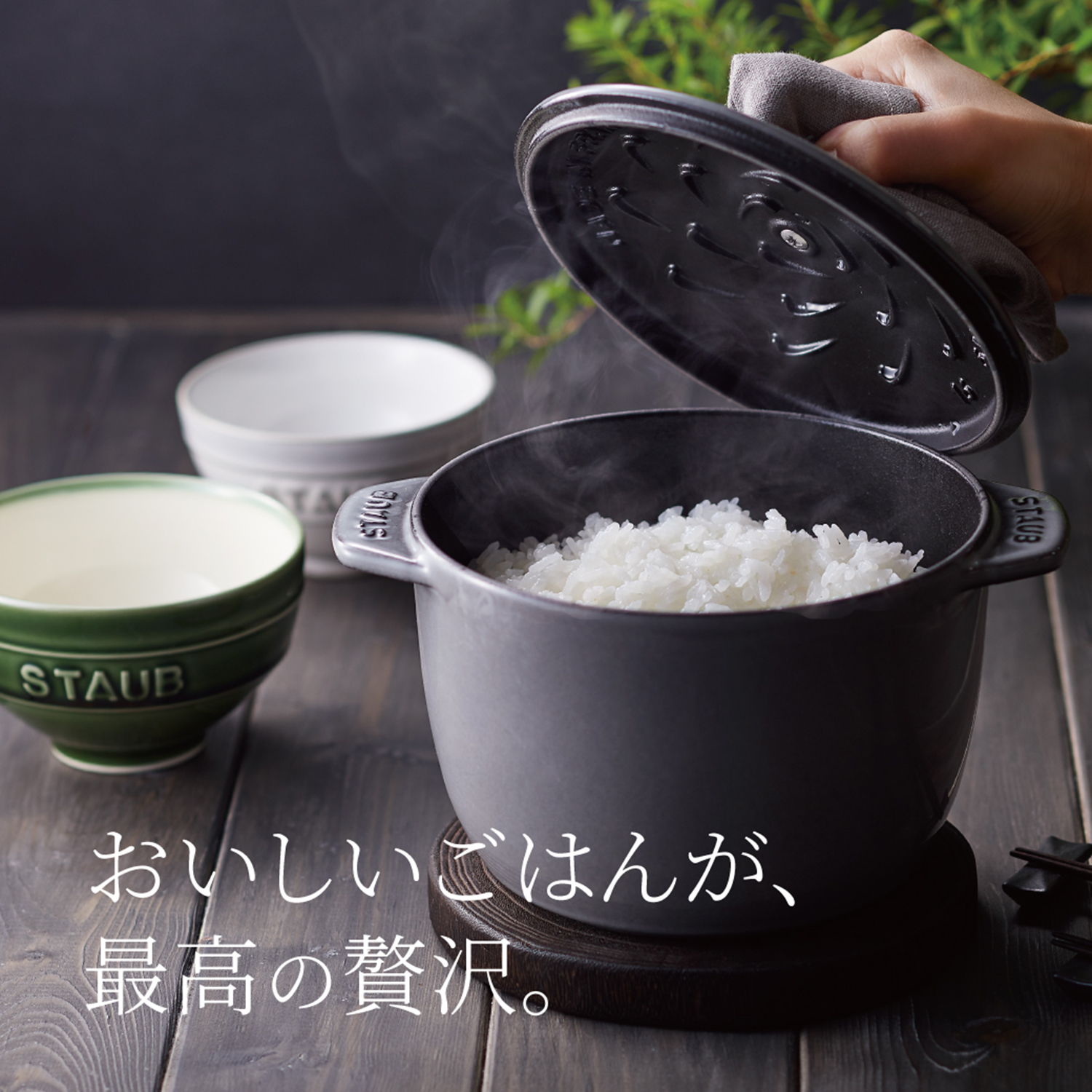 飯旨⭐️【希少】ストウブ　ココットご飯M ミント 楽天市場】【公式】【生涯保証】 ストウブ ラ・ココット de
