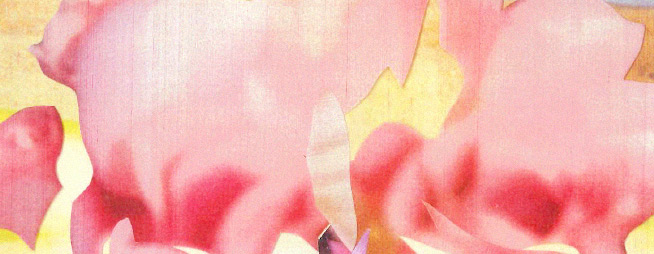 Amazon.co.jp: note et silence: rukkilill