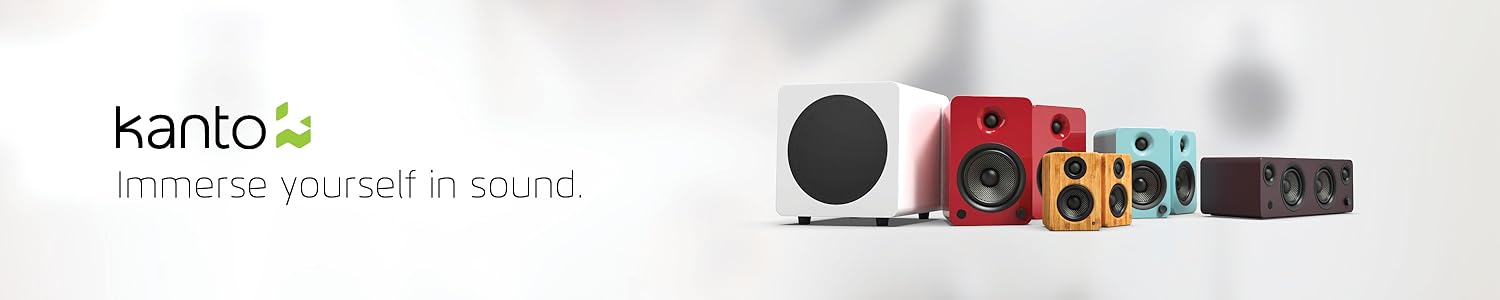 SOUND極ROAD  6700 Amazon.ca: Kanto: Subwoofers