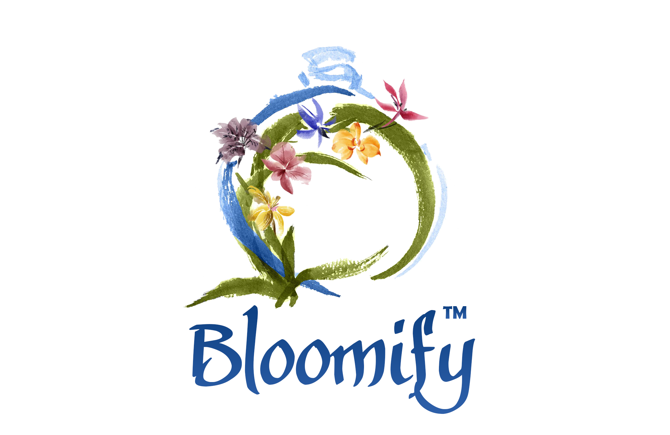 Amazon Com Bloomify Orchid Collection