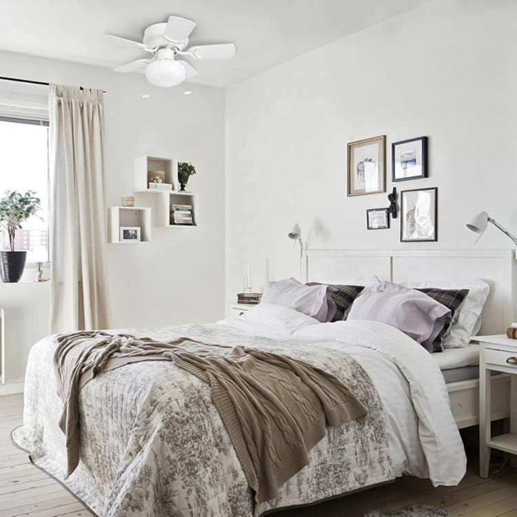 Amazon Com Prominence Home Small