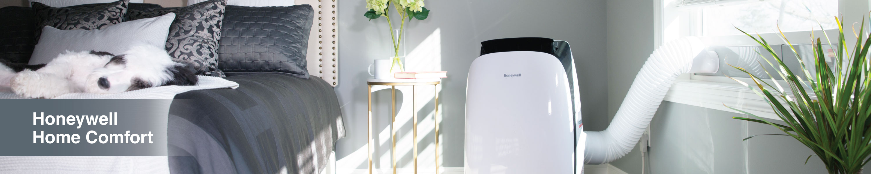 Amazon Com Honeywell Home Comfort