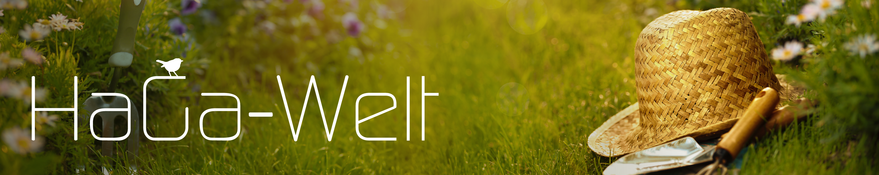 Amazon.co.uk HaGa PERohre