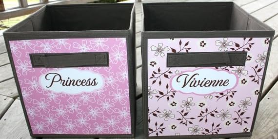 Amazon.com: Toad and Lily