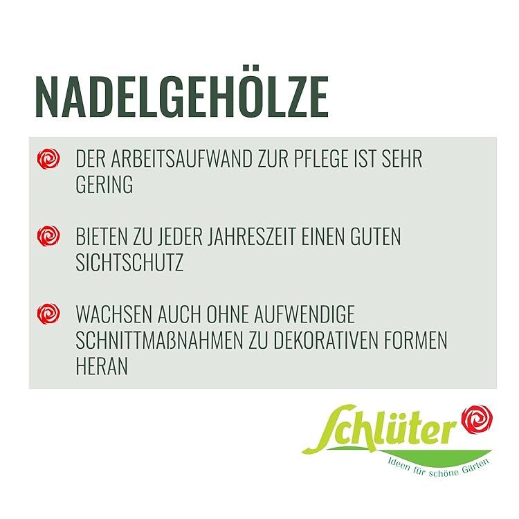 Amazon De Garten Schluter Nadelgeholze