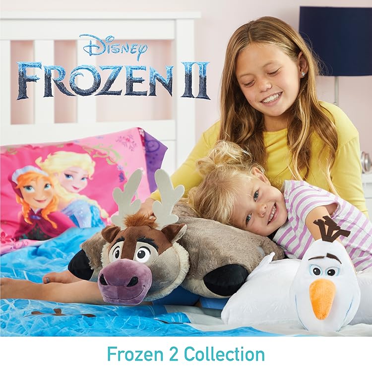Amazon Com Pillow Pets