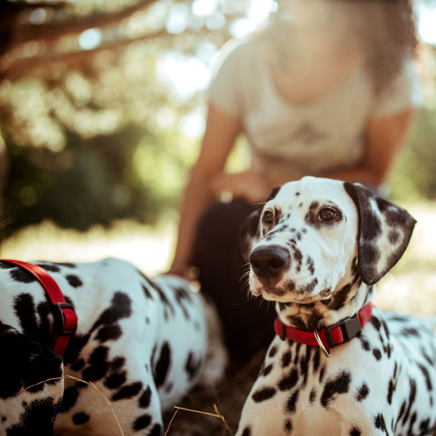 Eye Envy Itch Relief