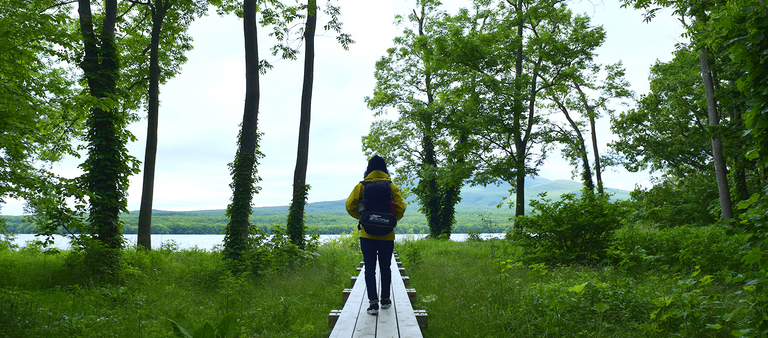 FIELDDOOR ケトルベル 24kg FIELDDOOR ケトルベル 24kg Amazon.co.jp: FIELDOOR Kettlebells