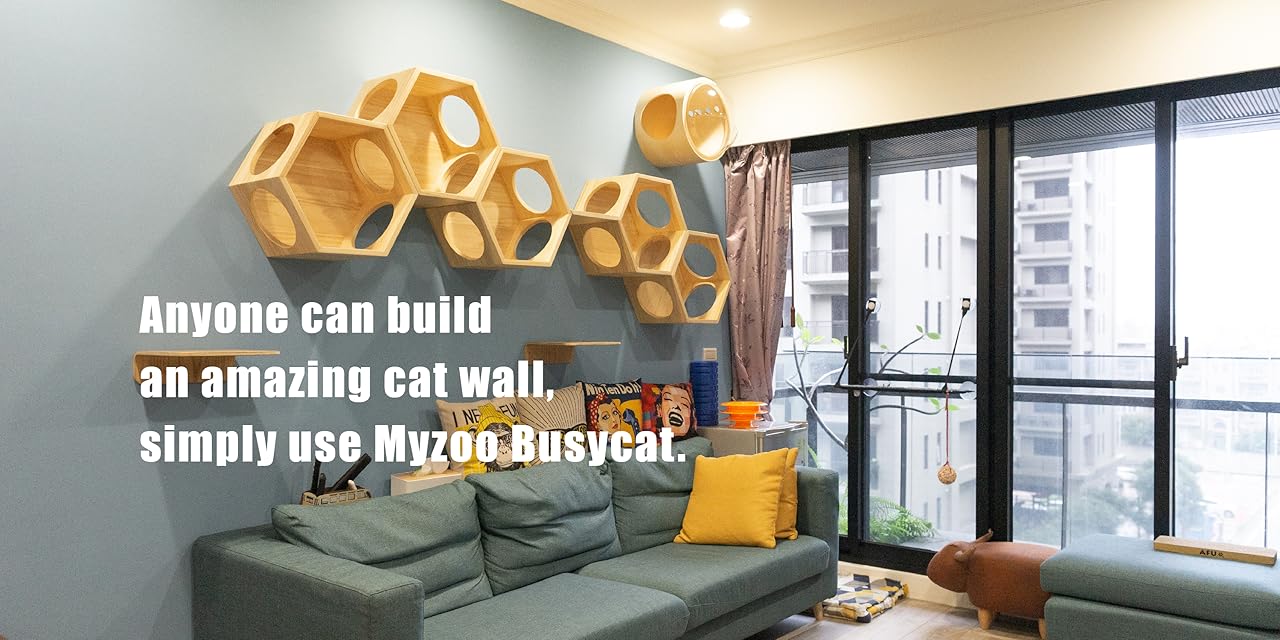 MYZOO Hexagon BusyCat Shelf