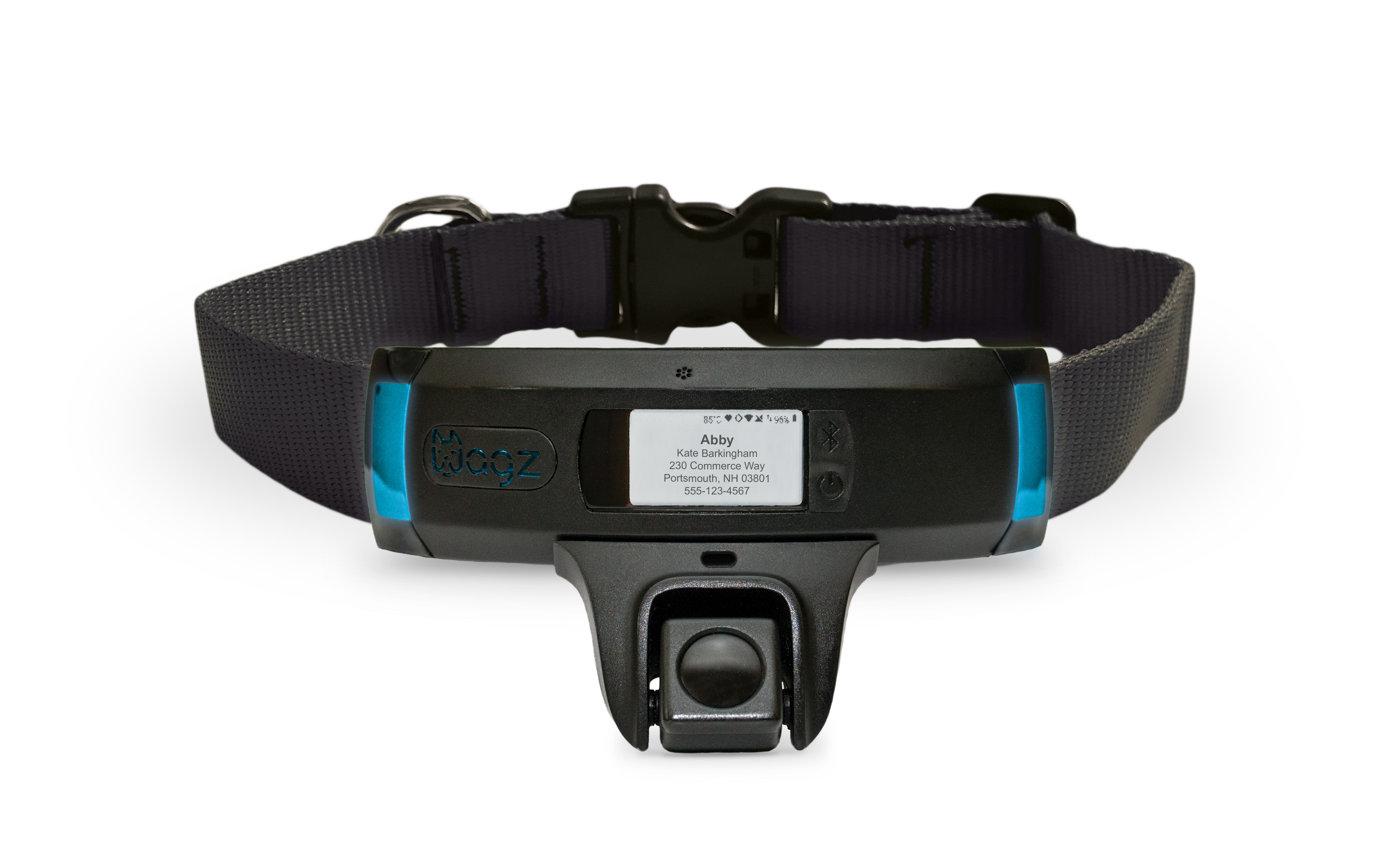 Wagz smart collar Clearance