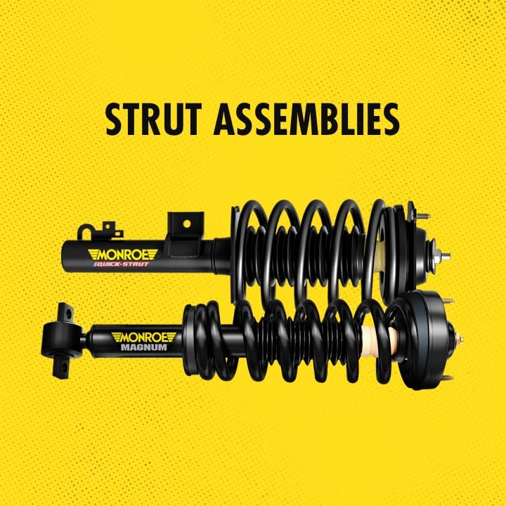 Monroe Shocks & Struts