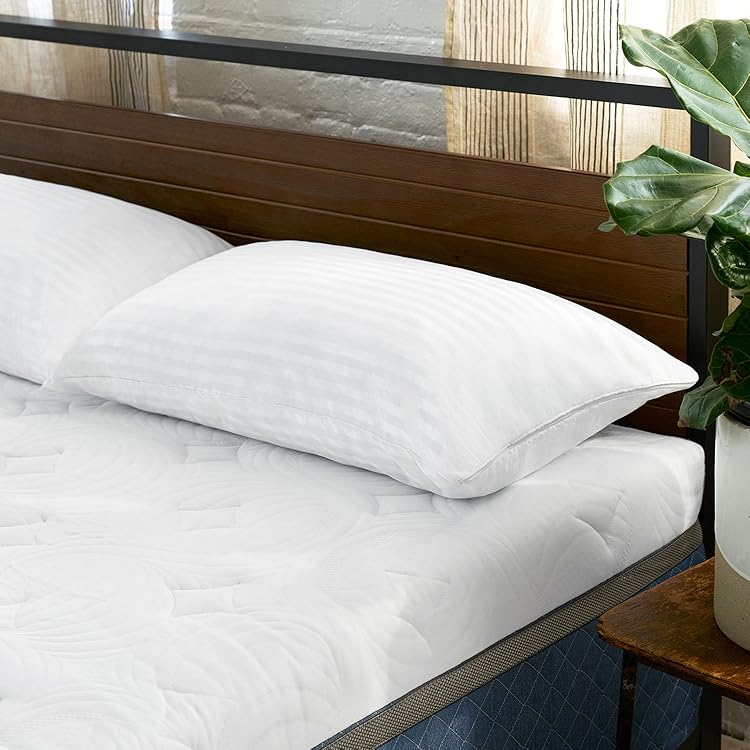 Sleep Innovations Embrace Memory Foam Body Pillow With