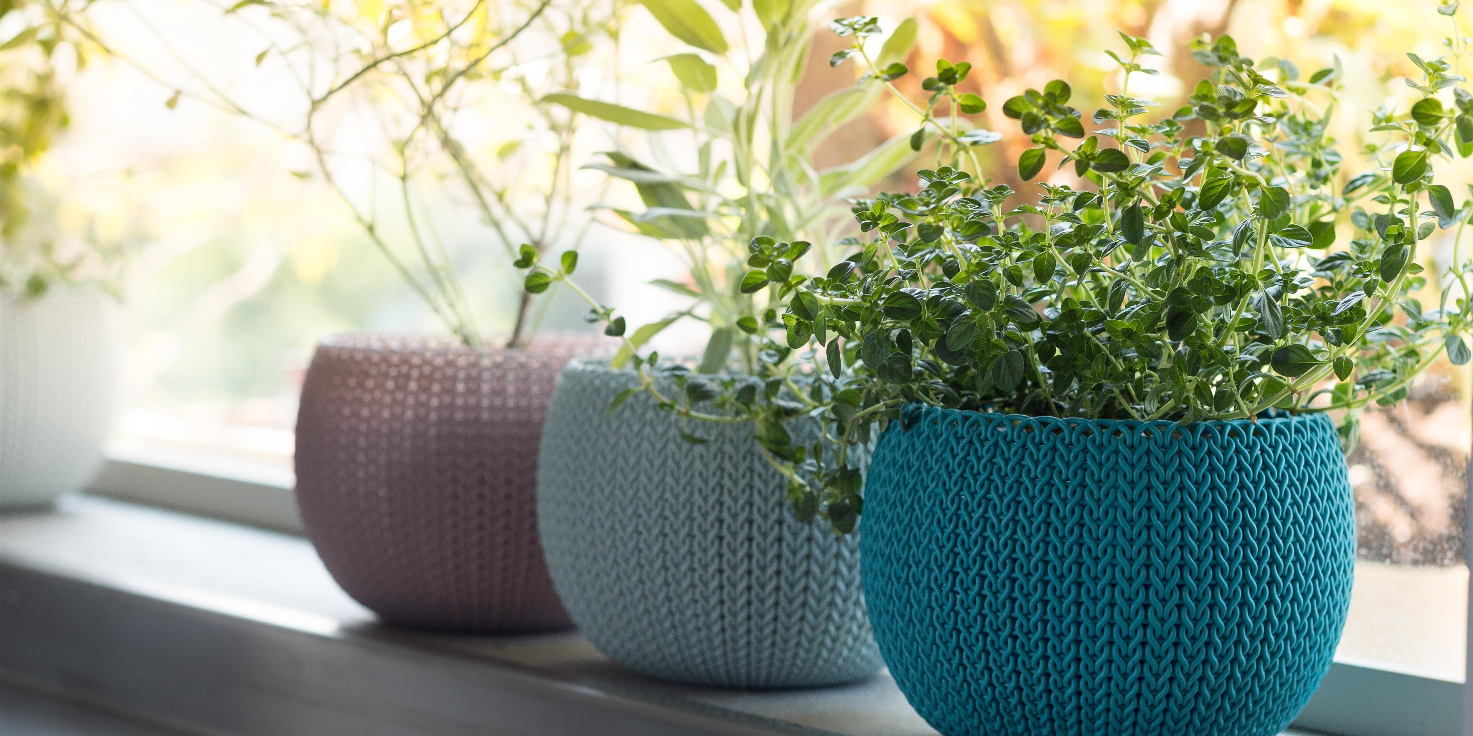 Amazon.co.uk Keter Indoor Plant Pots