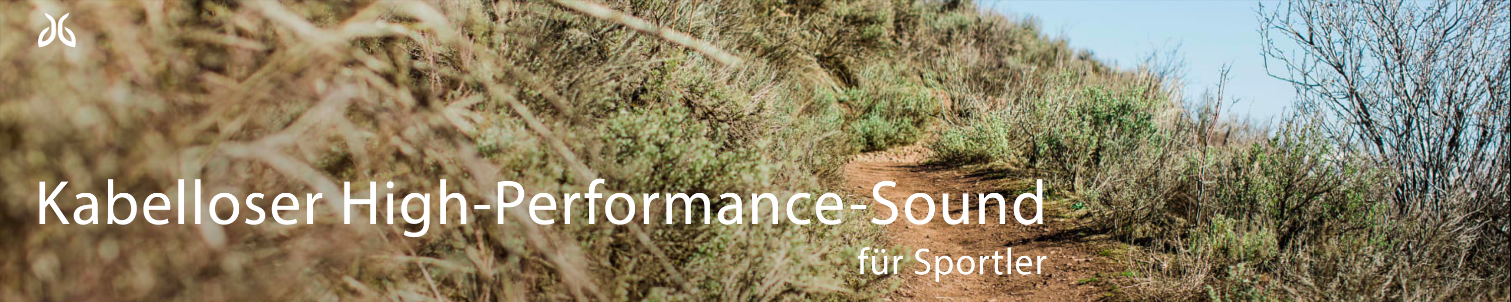 Amazon.de Jaybird Tarah Pro