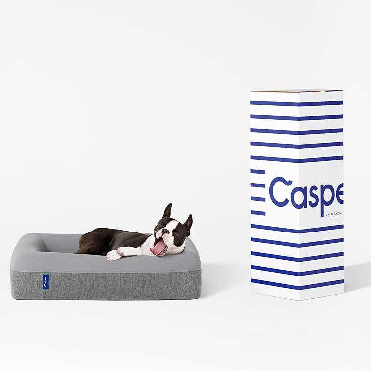 Casper Dog Beds