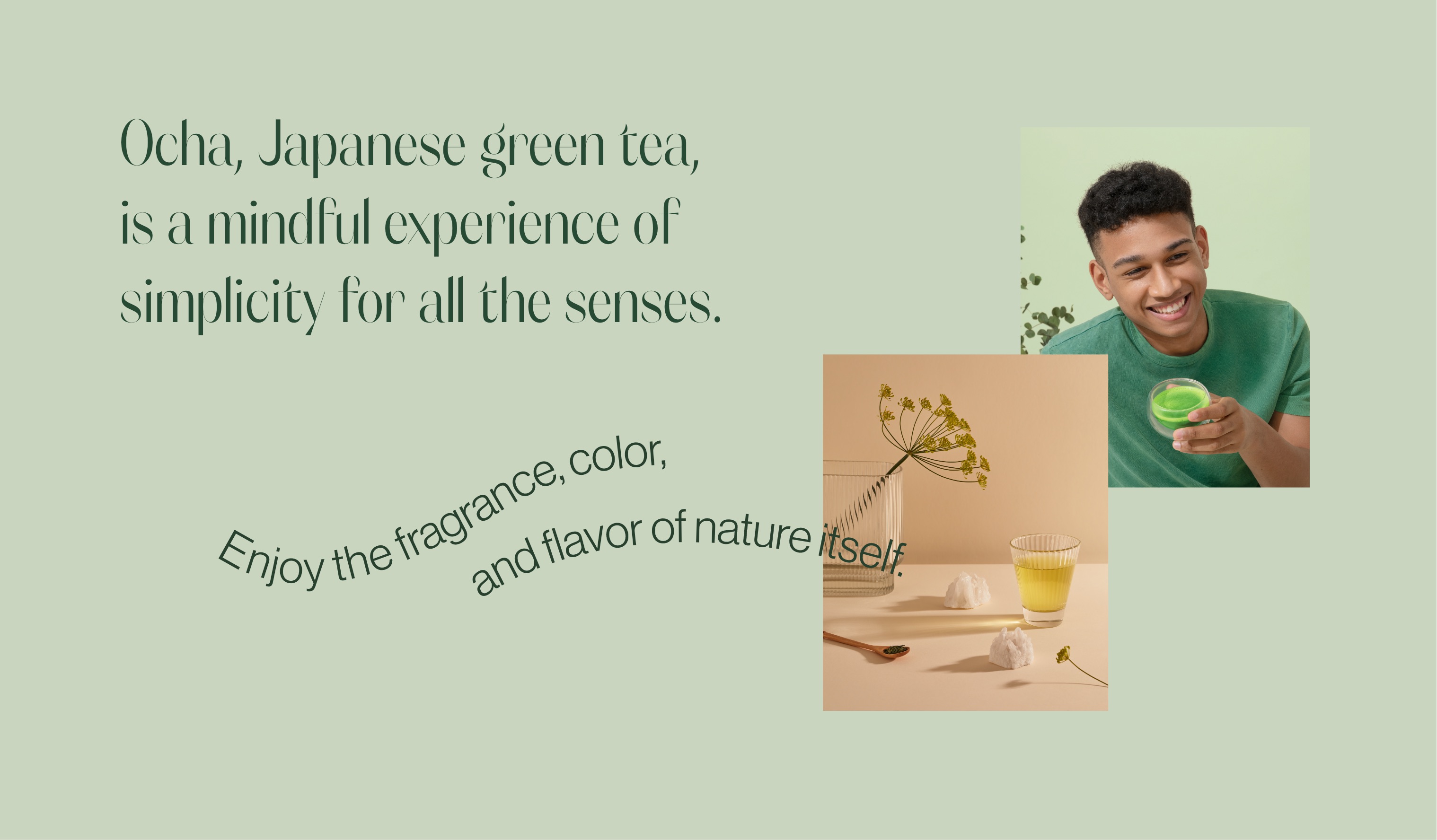 Japanese Green Tea