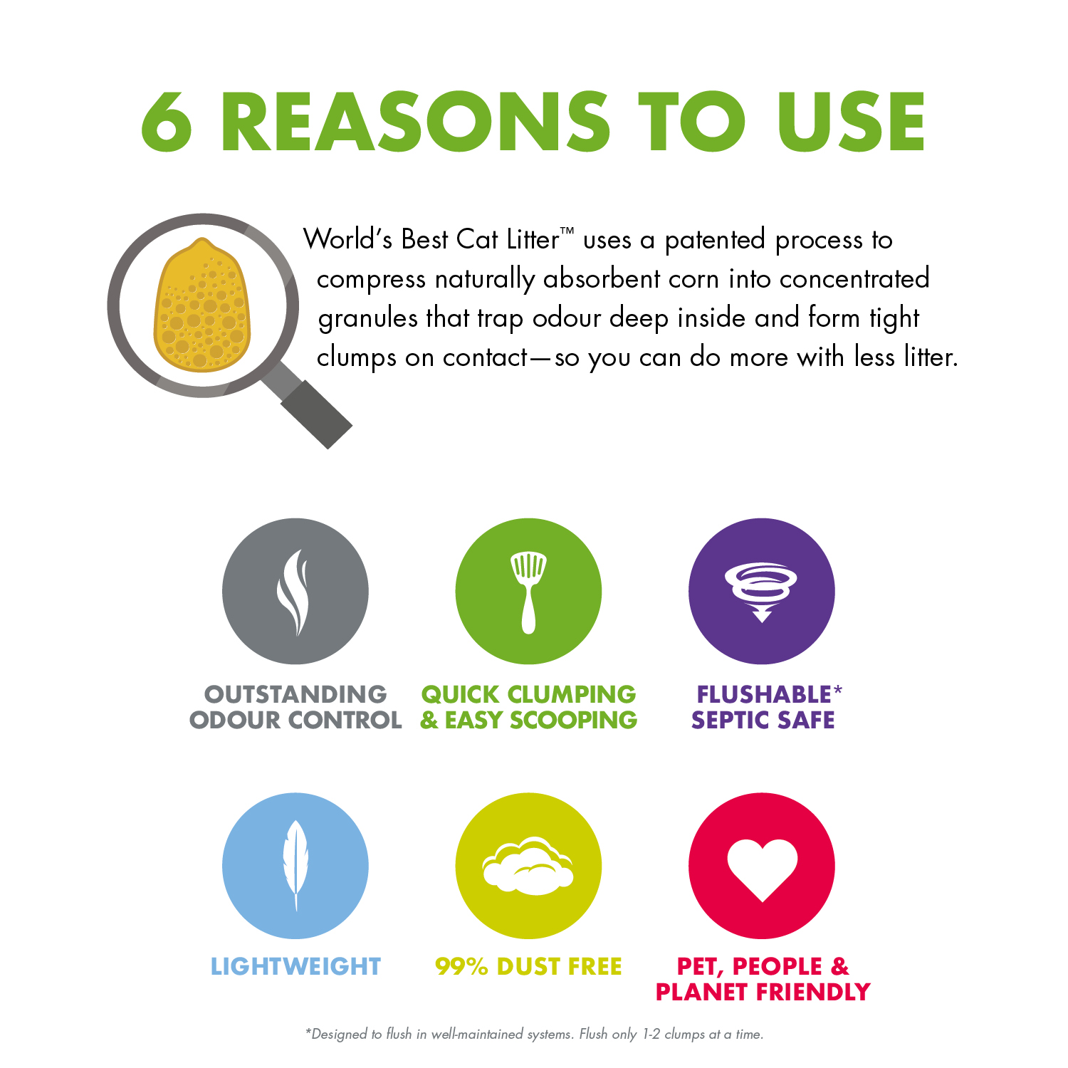 Amazon.co.uk World's Best Cat Litter World's Best Cat Litter