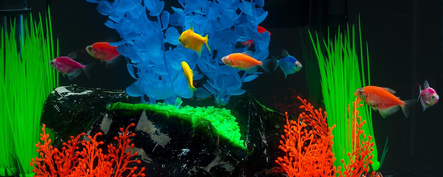 GloFish Plants and Backgrounds