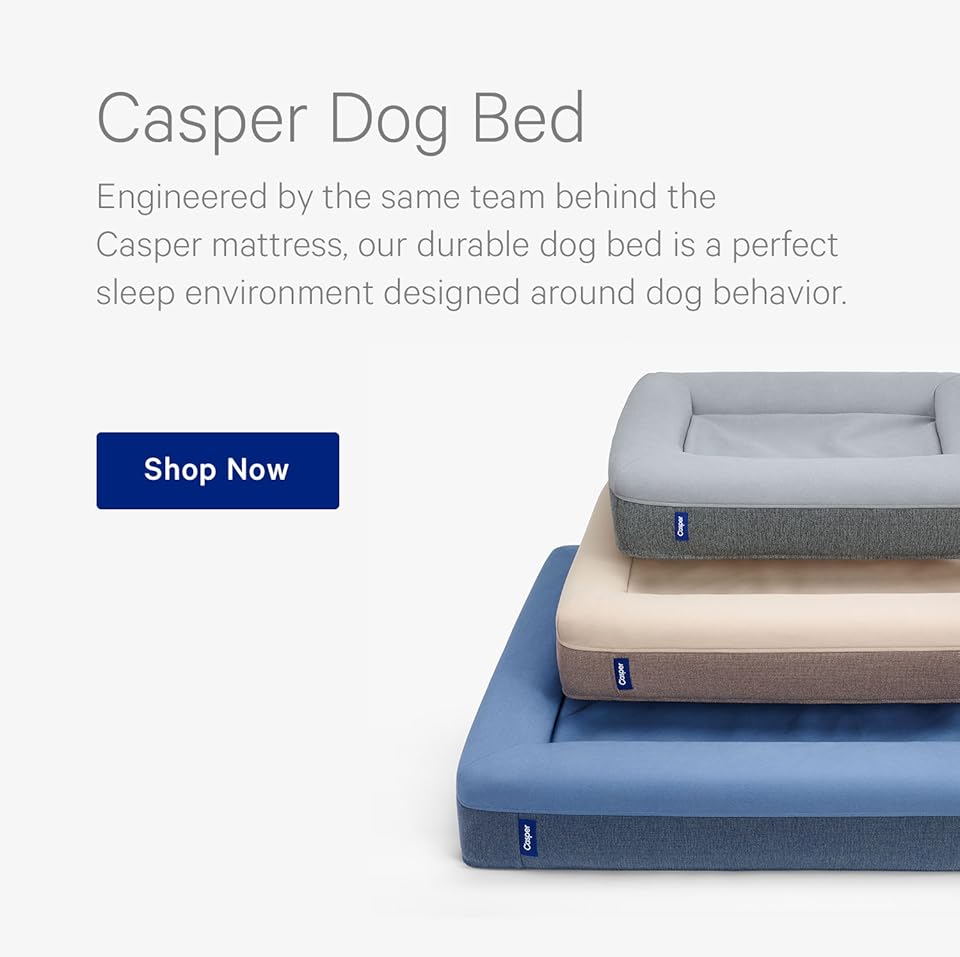Casper Dog Beds