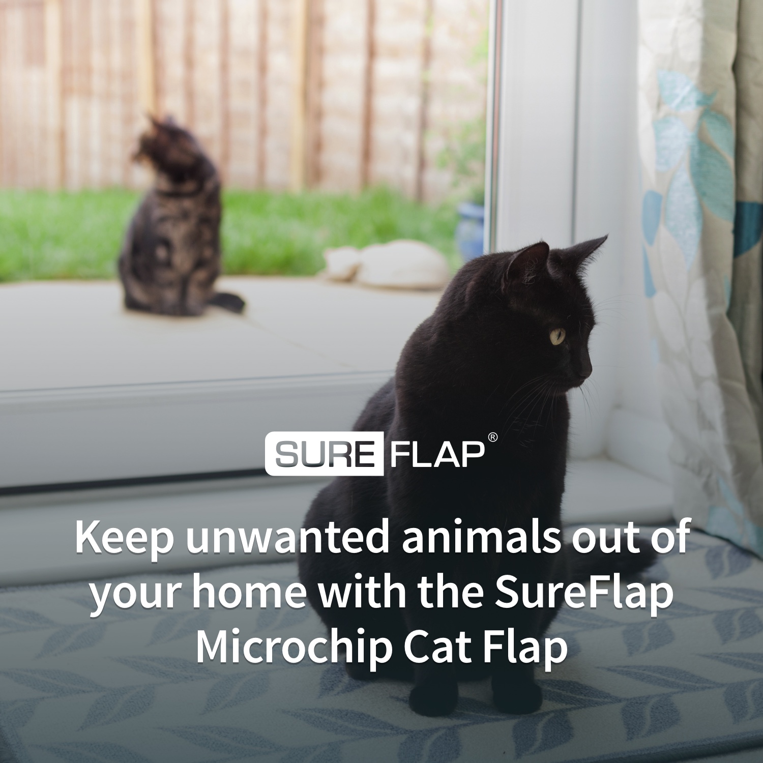 Amazon.co.uk Sure Petcare Microchip Cat Flap