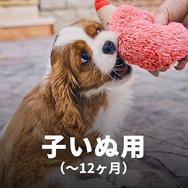 Amazon Co Jp ヒルズのサイエンス ダイエット サイエンス ダイエット犬用 Amazon Co Jp ヒルズのサイエンス ダイエット サイエンス ダイエット犬用