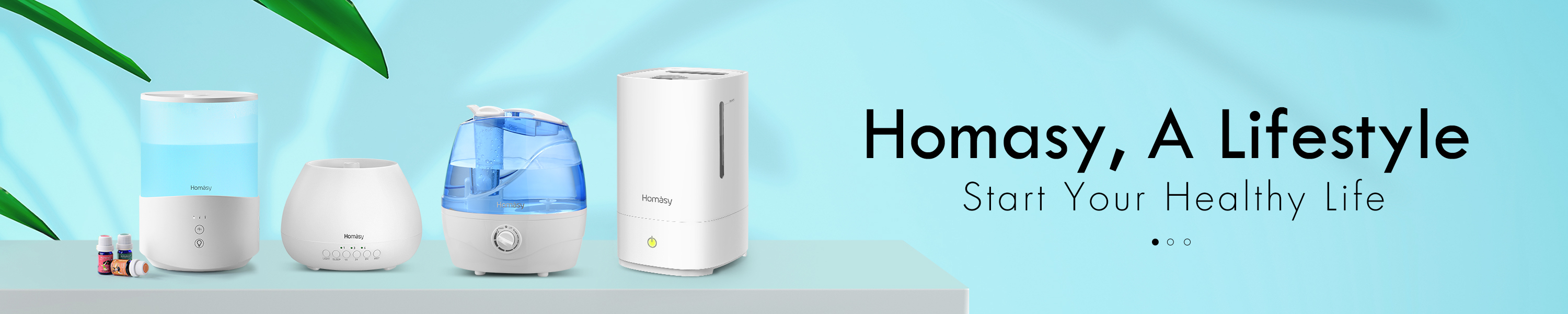 Amazon.ca Homasy Humidifier