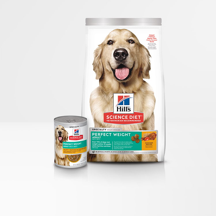 Amazon.ca Hill's Pet Nutrition, Inc SCIENCE DIET DOG