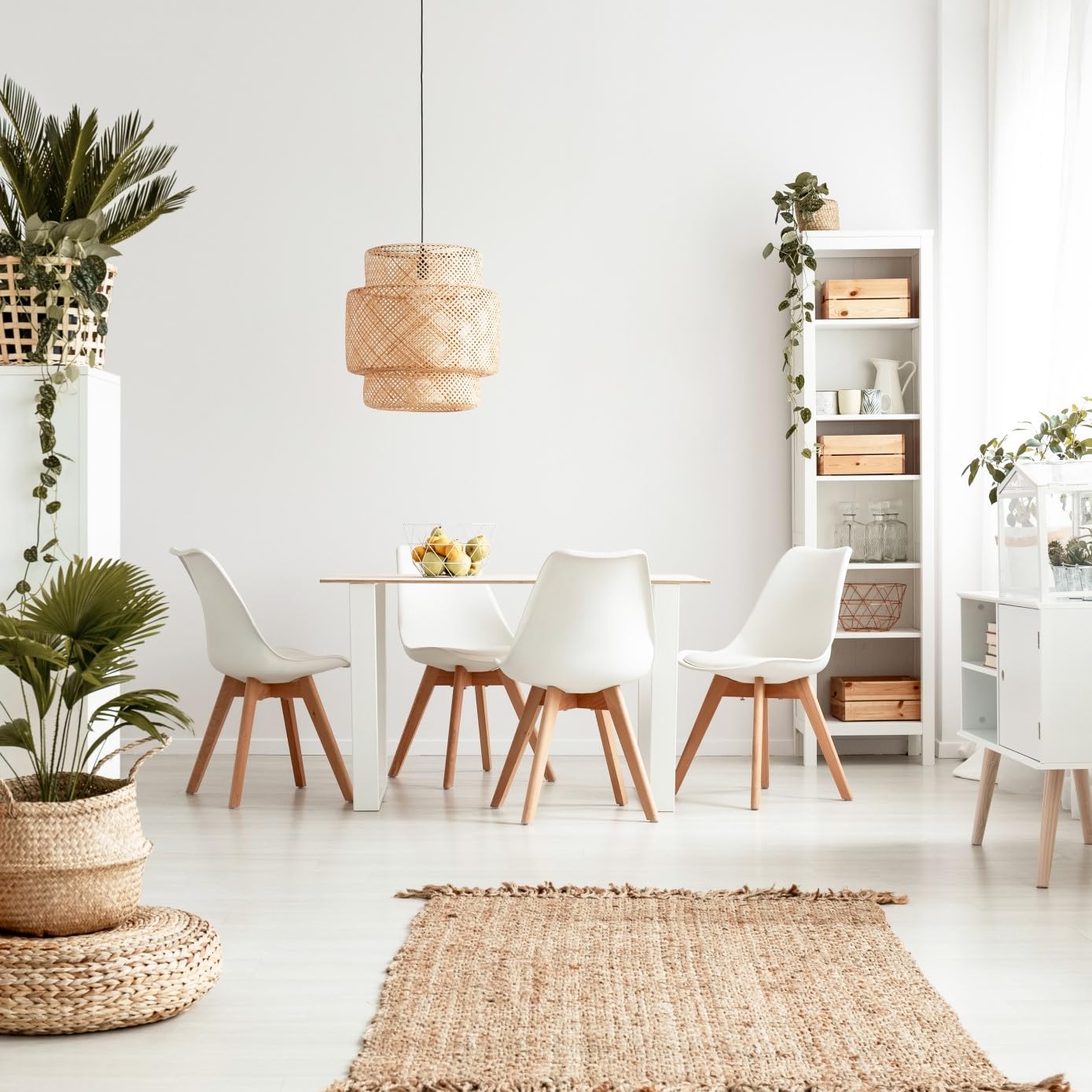 Amazon.it Milani Home