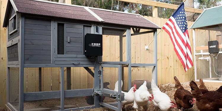 Amazoncom Ghost Controls Coop Controls Automatic Coop Openers