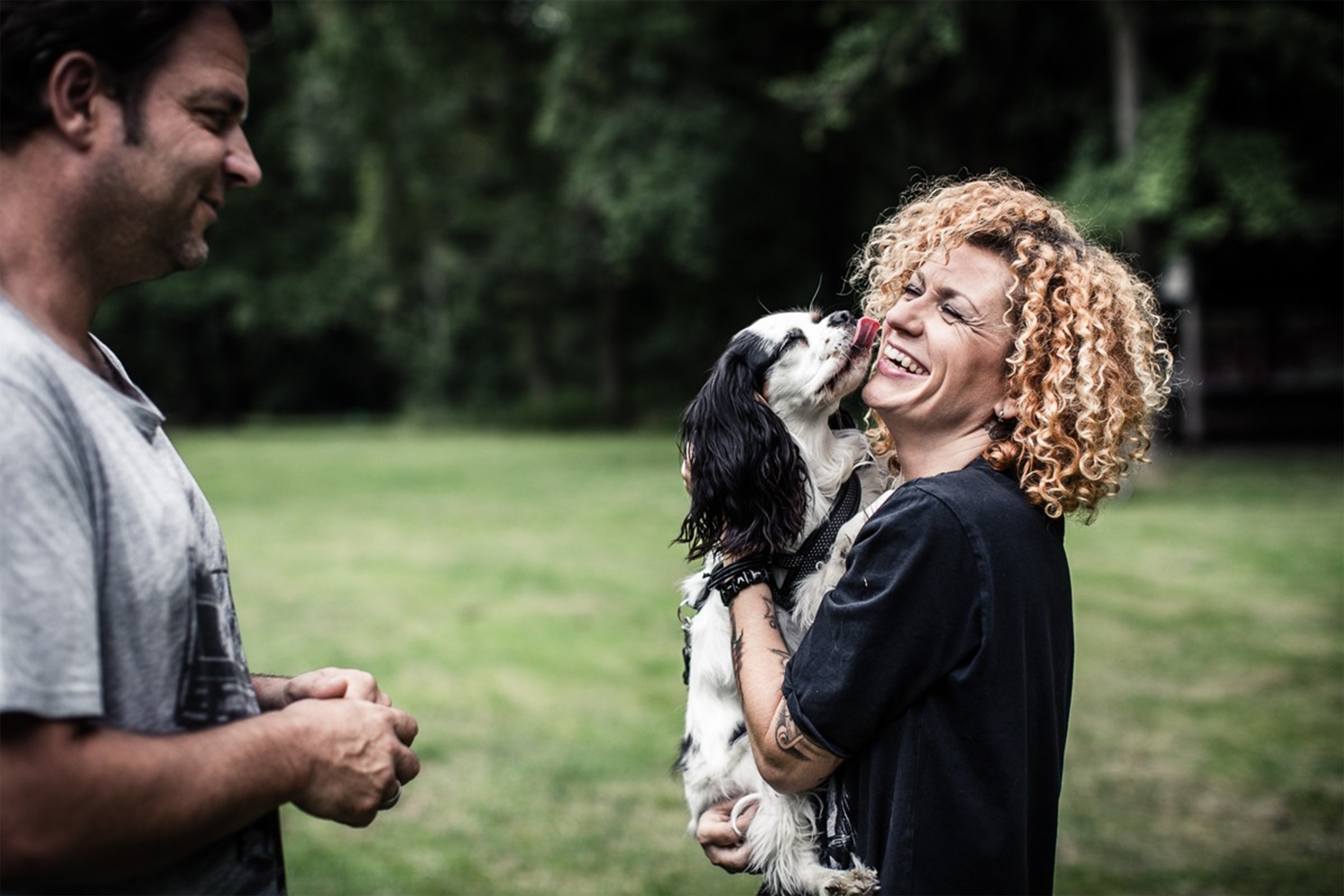 Der V I P Hundeprofi S07e04 Folge 4 Fernsehserien De