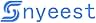 Logo of Nyeest in blue text. The letter 'S' is stylized with curved lines forming a symbol.
