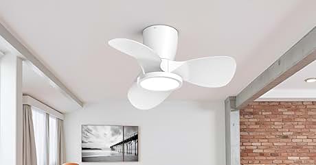con tres aspas y lámpara integrada montada en un techo blanco. La habitación cuenta con una pared de ladrillo visto y obras de arte enmarcadas en blanco y negro de un muelle.