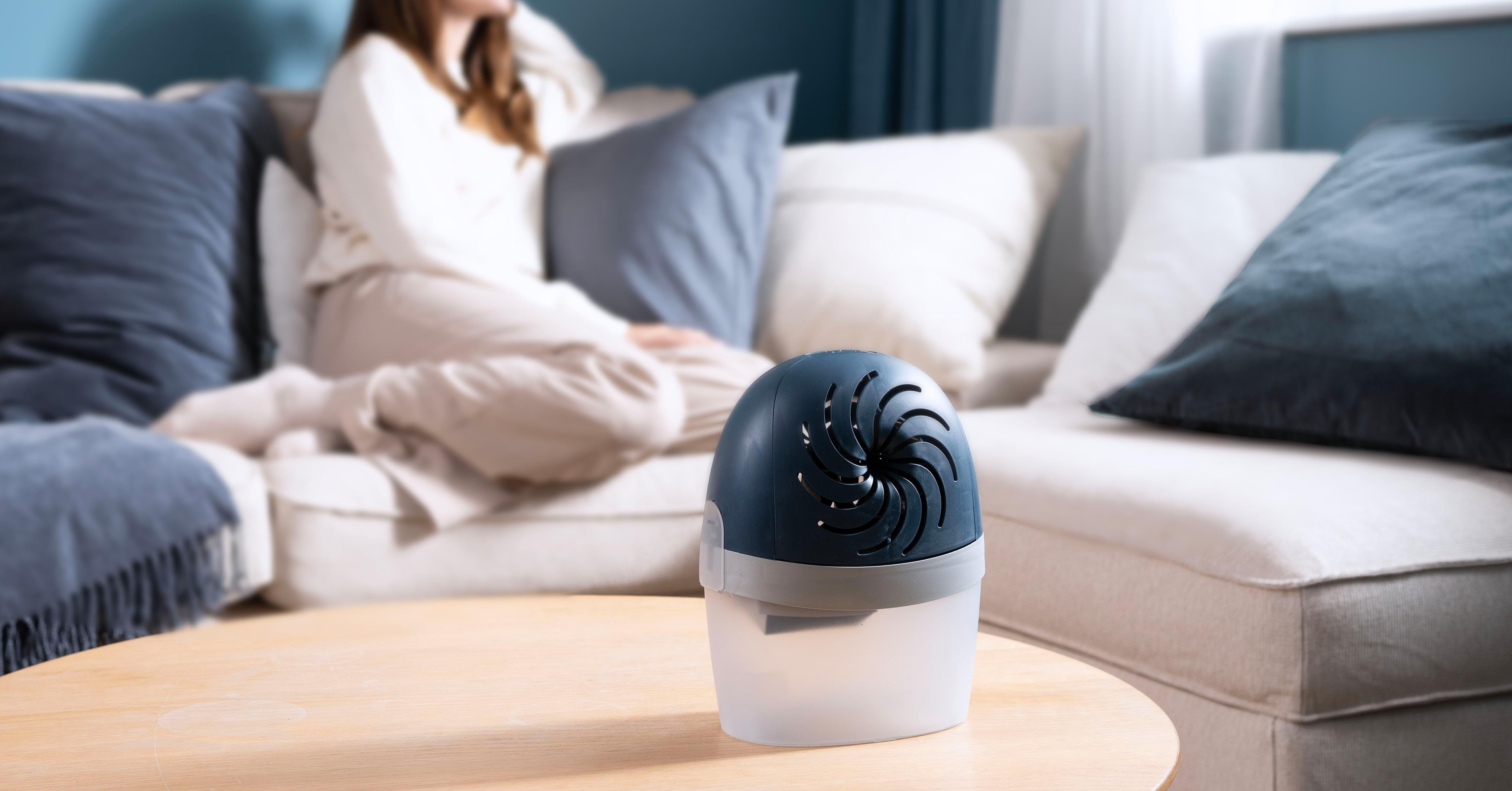 Pequeño dispositivo esférico oscuro sobre una base blanca, colocado sobre la mesa de café de la sala de estar con el sofá y las almohadas a la vista.